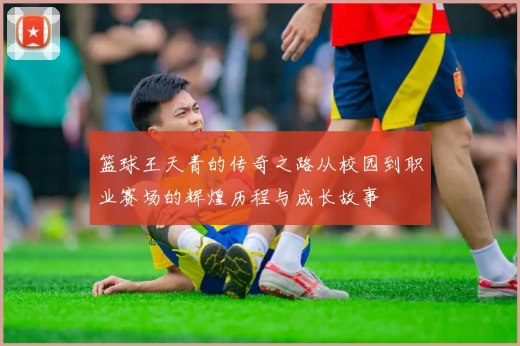 篮球王天青的传奇之路从校园到职业赛场的辉煌历程与成长故事