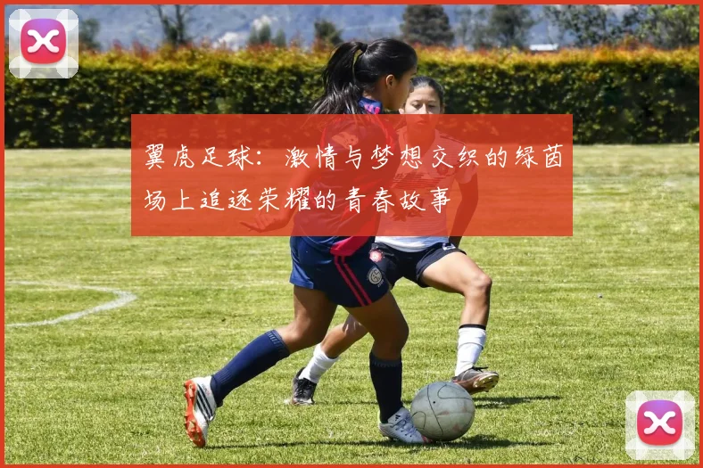 翼虎足球：激情与梦想交织的绿茵场上追逐荣耀的青春故事