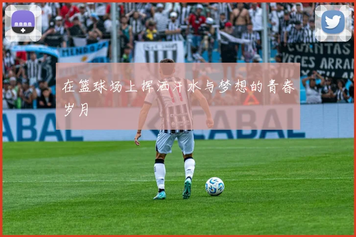 在篮球场上挥洒汗水与梦想的青春岁月