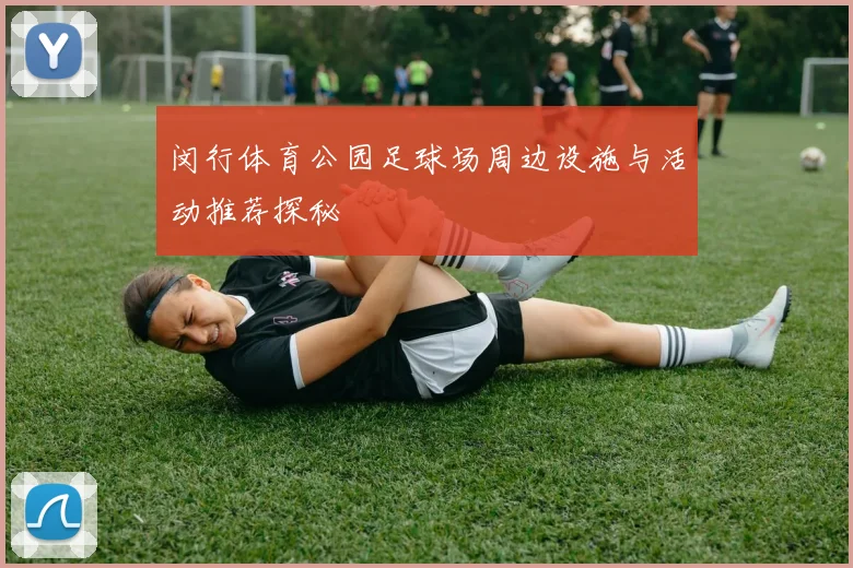 闵行体育公园足球场周边设施与活动推荐探秘