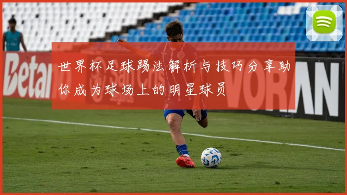 世界杯足球踢法解析与技巧分享助你成为球场上的明星球员