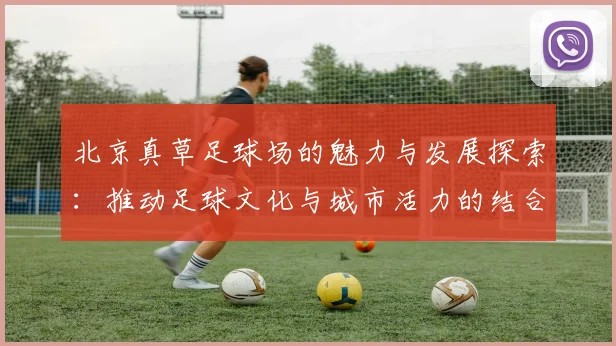 北京真草足球场的魅力与发展探索：推动足球文化与城市活力的结合